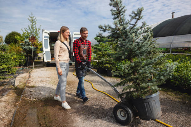 Best Fruit Tree Pruning  in Surfside Beach, SC